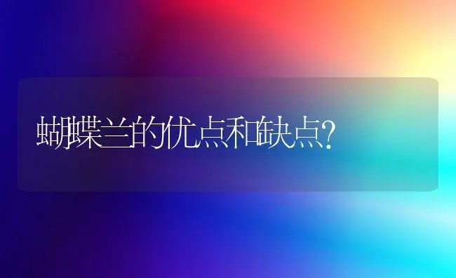 蝴蝶兰的优点和缺点？ | 绿植常识