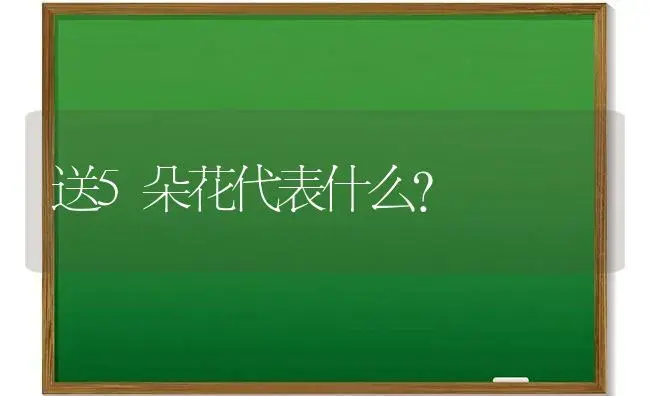 送5朵花代表什么？ | 绿植常识