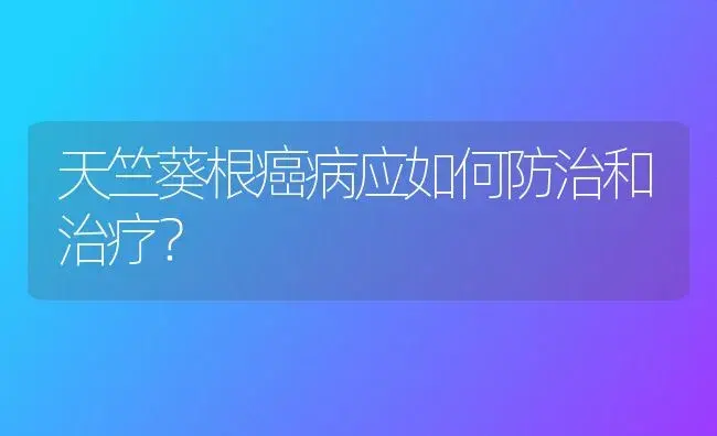 天竺葵根癌病应如何防治和治疗？ | 家庭养花