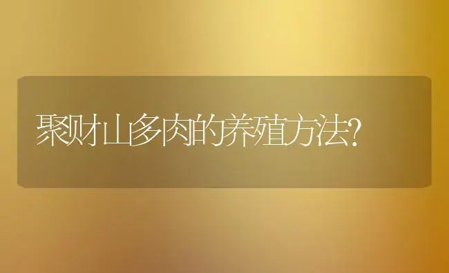 聚财山多肉的养殖方法？ | 多肉养殖