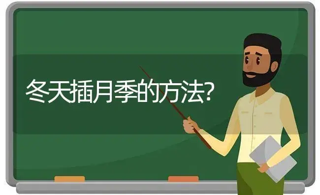 冬天插月季的方法？ | 绿植常识