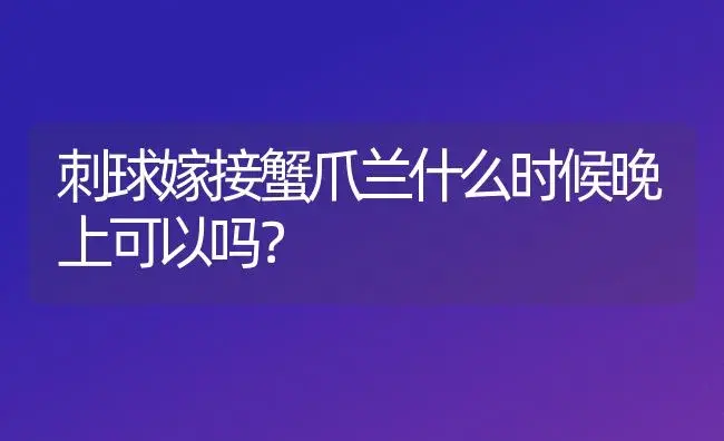 刺球嫁接蟹爪兰什么时候晚上可以吗？ | 多肉养殖