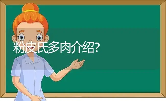 粉皮氏多肉介绍？ | 多肉养殖