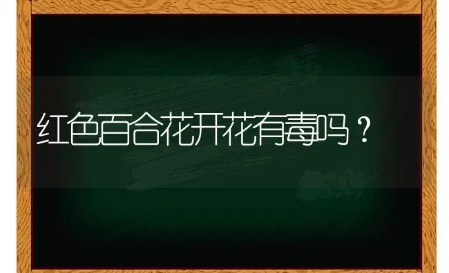 红色百合花开花有毒吗？ | 绿植常识