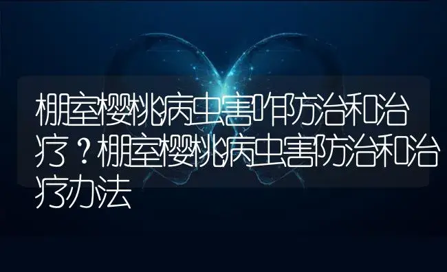 棚室樱桃病虫害咋防治和治疗？棚室樱桃病虫害防治和治疗办法 | 果木种植