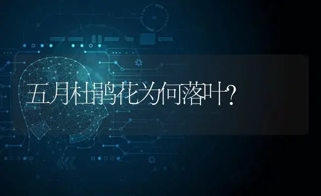 五月杜鹃花为何落叶？ | 绿植常识