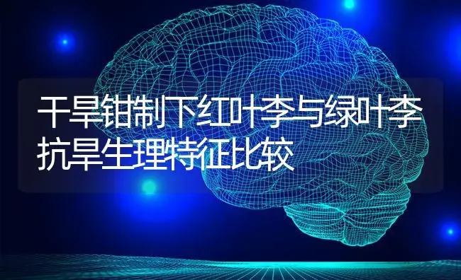 干旱钳制下红叶李与绿叶李抗旱生理特征比较 | 特种种植