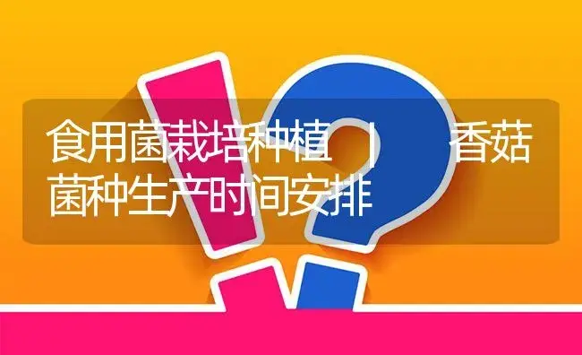 香菇菌种生产时间安排 | 菌菇种植