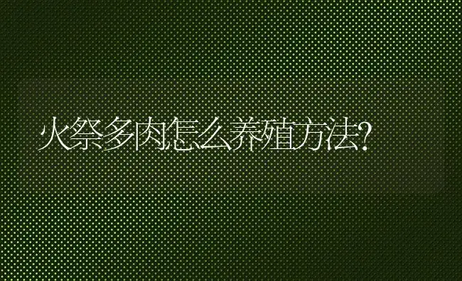 火祭多肉怎么养殖方法？ | 多肉养殖