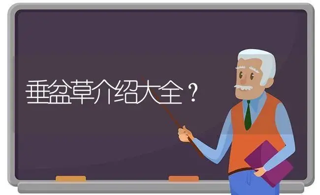 垂盆草介绍大全？ | 多肉养殖