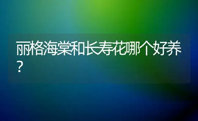 丽格海棠和长寿花哪个好养？ | 绿植常识