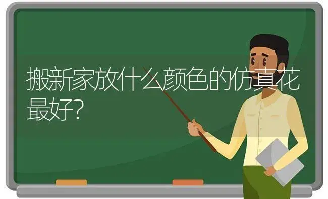 搬新家放什么颜色的仿真花最好？ | 绿植常识