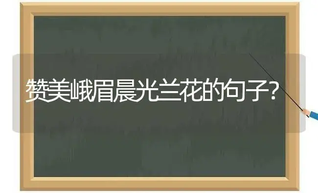 赞美峨眉晨光兰花的句子？ | 绿植常识