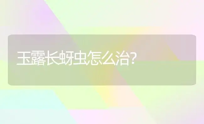 玉露长蚜虫怎么治？ | 多肉养殖