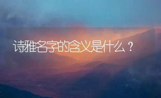 诗雅名字的含义是什么？ | 多肉养殖