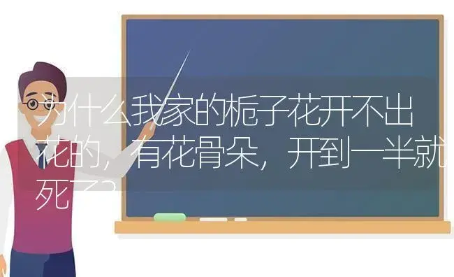 为什么我家的栀子花开不出花的，有花骨朵，开到一半就死了？ | 绿植常识