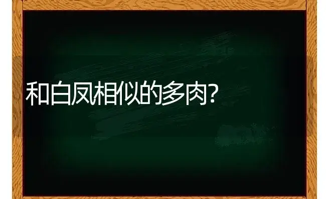 和白凤相似的多肉？ | 多肉养殖