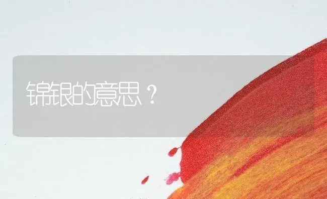 锦银的意思？ | 多肉养殖