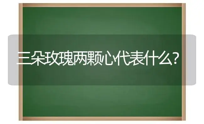 三朵玫瑰两颗心代表什么？ | 绿植常识