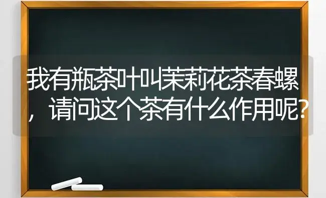 我有瓶茶叶叫茉莉花茶春螺，请问这个茶有什么作用呢？ | 绿植常识