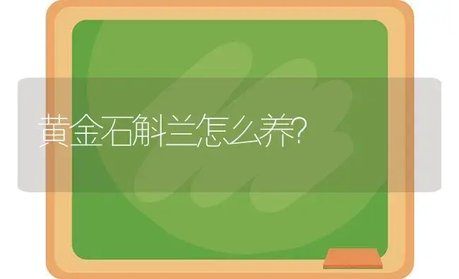 月季花为什么一年四季都开花？ | 绿植常识