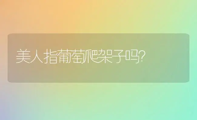 美人指葡萄爬架子吗？ | 多肉养殖