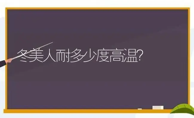 冬美人耐多少度高温？ | 多肉养殖