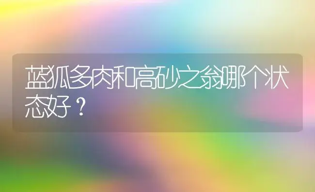 蓝狐多肉和高砂之翁哪个状态好？ | 多肉养殖