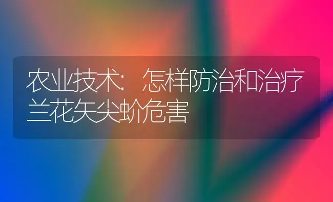 农业技术:怎样防治和治疗兰花矢尖蚧危害 | 家庭养花