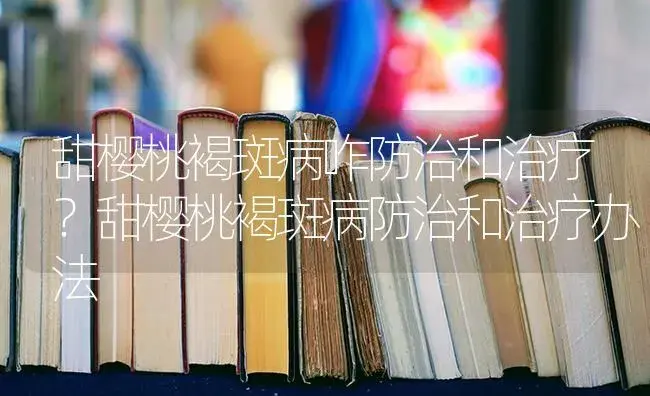 甜樱桃褐斑病咋防治和治疗？甜樱桃褐斑病防治和治疗办法 | 果木种植