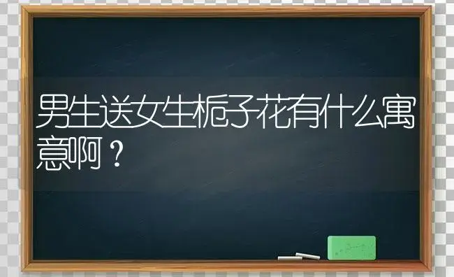 男生送女生栀子花有什么寓意啊？ | 绿植常识