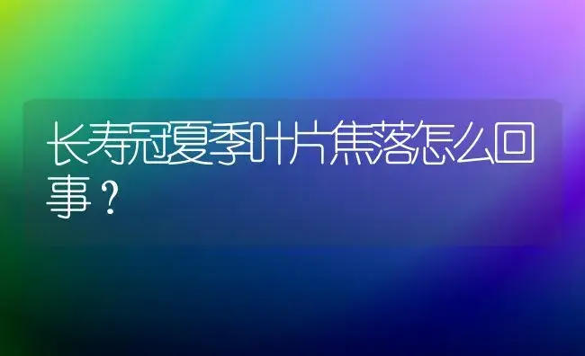 长寿冠夏季叶片焦落怎么回事？ | 绿植常识