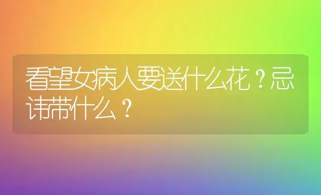 看望女病人要送什么花？忌讳带什么？ | 绿植常识