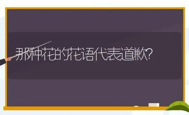 那种花的花语代表道歉？ | 绿植常识