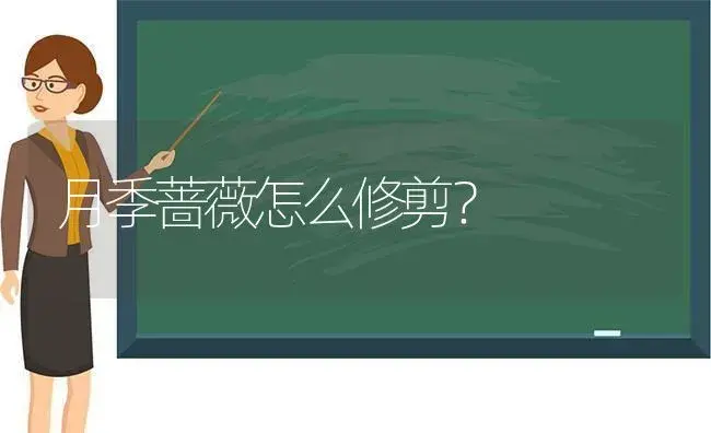 月季蔷薇怎么修剪？ | 绿植常识