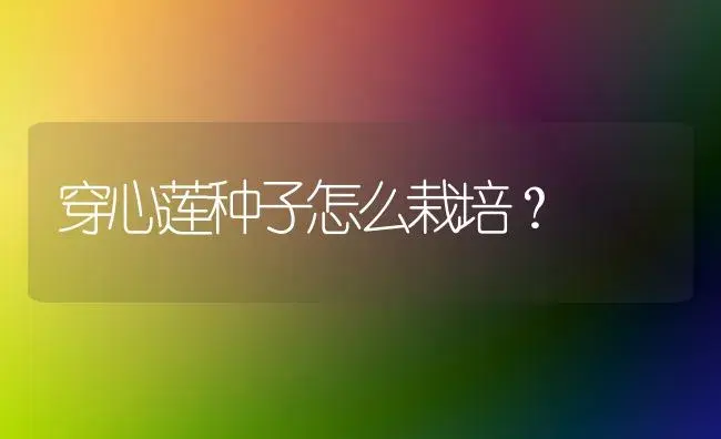 穿心莲种子怎么栽培？ | 家庭养花