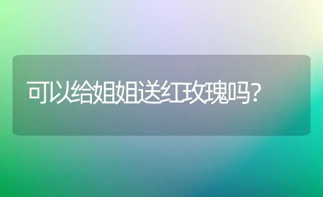 可以给姐姐送红玫瑰吗？ | 绿植常识