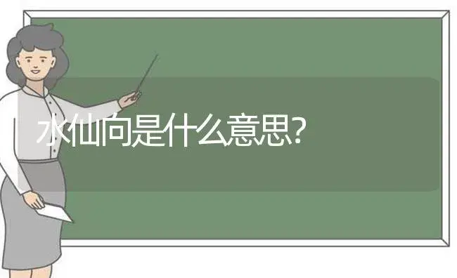 水仙向是什么意思？ | 绿植常识