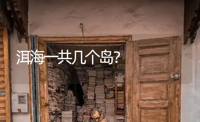 洱海一共几个岛？ | 多肉养殖