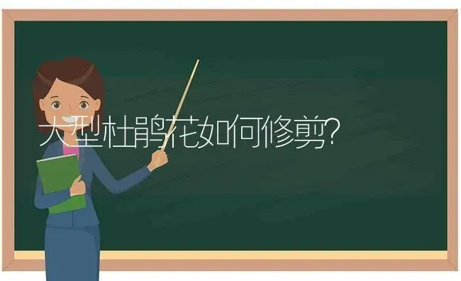 大型杜鹃花如何修剪？ | 绿植常识