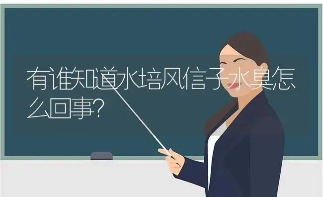 有谁知道水培风信子水臭怎么回事？ | 绿植常识