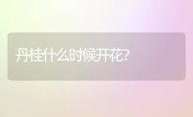 丹桂什么时候开花？ | 家庭养花