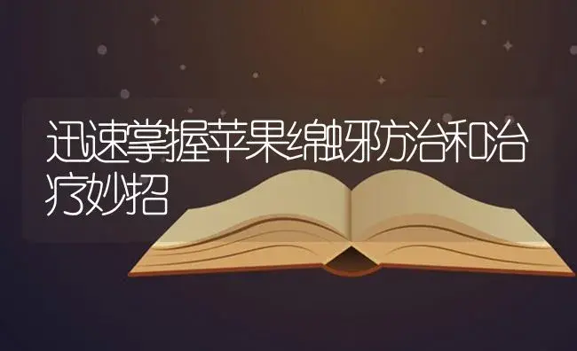 迅速掌握苹果绵蚜防治和治疗妙招 | 果木种植