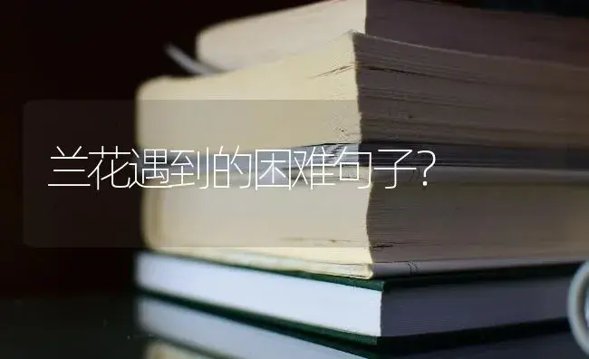 兰花遇到的困难句子？ | 绿植常识