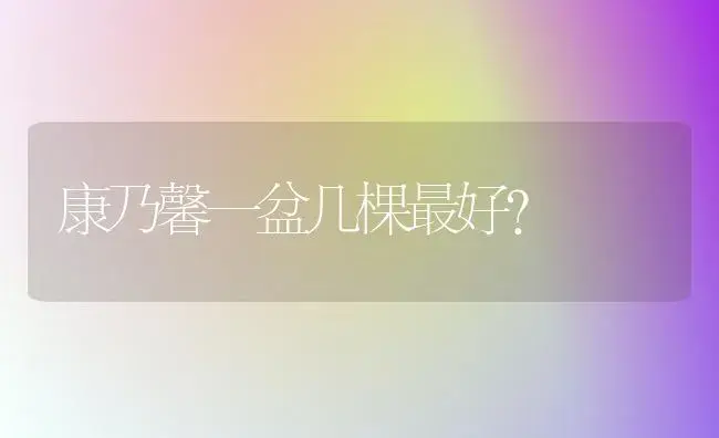 康乃馨一盆几棵最好？ | 绿植常识