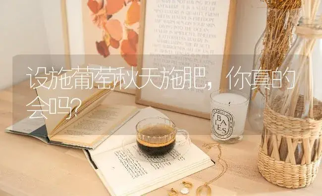 设施葡萄秋天施肥，你真的会吗？ | 果木种植