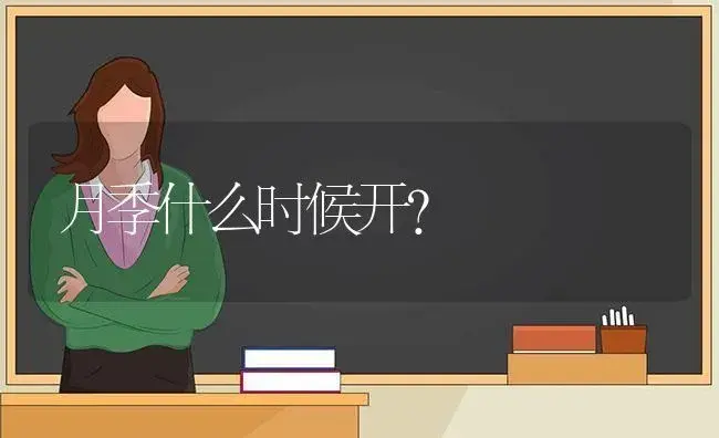 月季什么时候开？ | 绿植常识