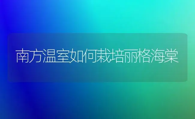 南方温室如何栽培丽格海棠 | 家庭养花