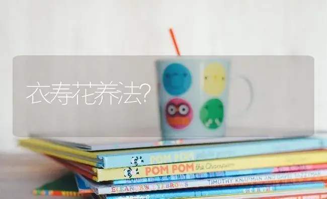 衣寿花养法？ | 多肉养殖