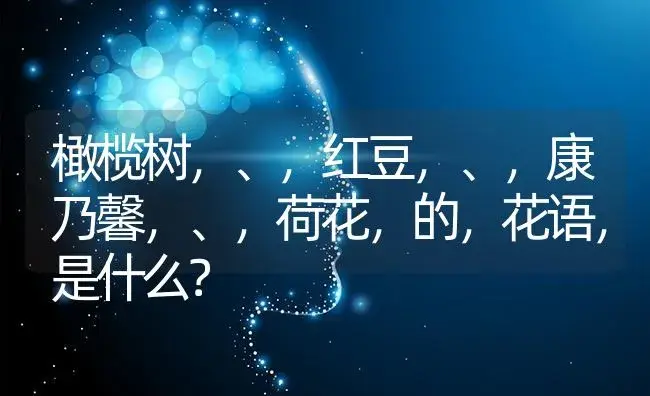 橄榄树，、，红豆，、，康乃馨，、，荷花，的，花语，是什么？ | 绿植常识